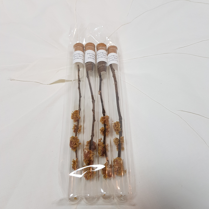 강원더몰,[라이브특가]캐모마일블랜딩&스틱꽃차세트